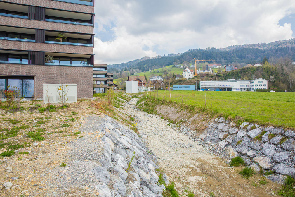 Hochwasserschutzprojekt-Lochau