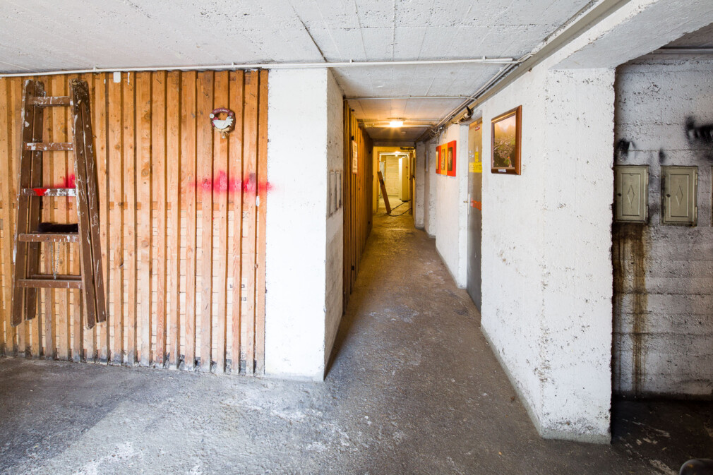 Antoniusstr 12a_CRwalser_3_vorher