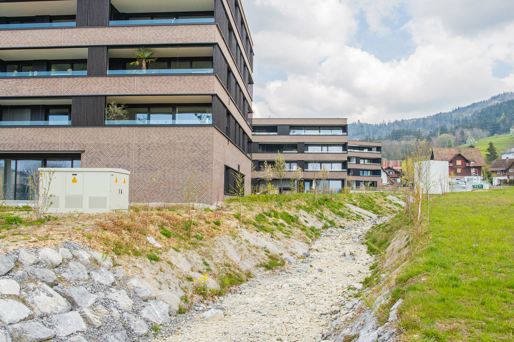 Hochwasserschutzprojekt-Lochau-4