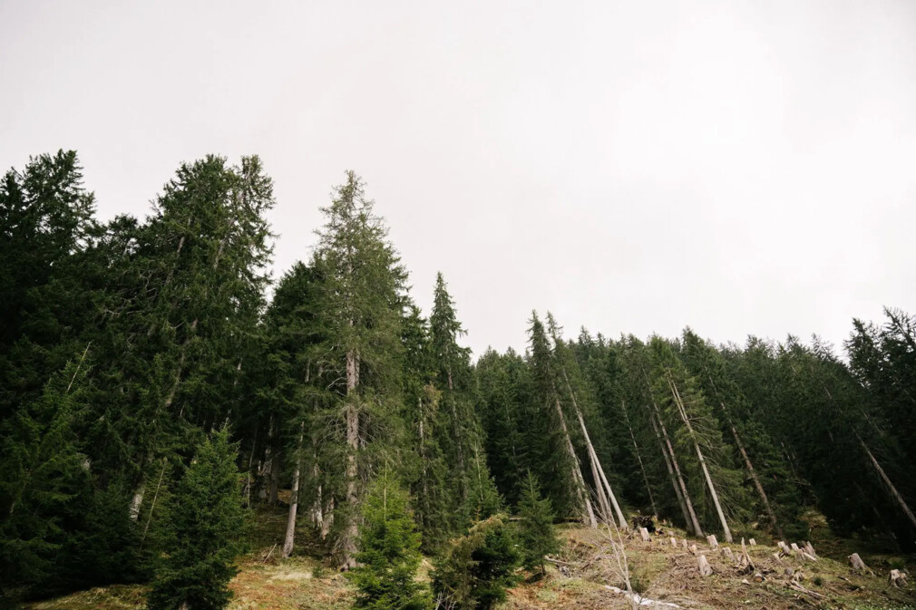 Klostertal_3