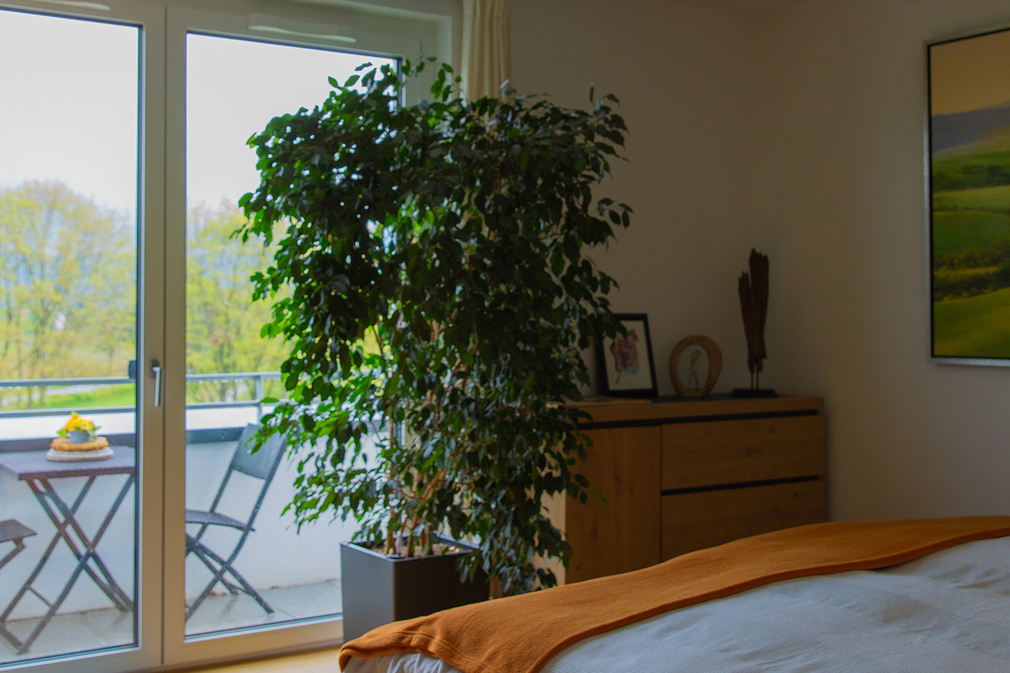 Eheleute Spies - Salem  (18)