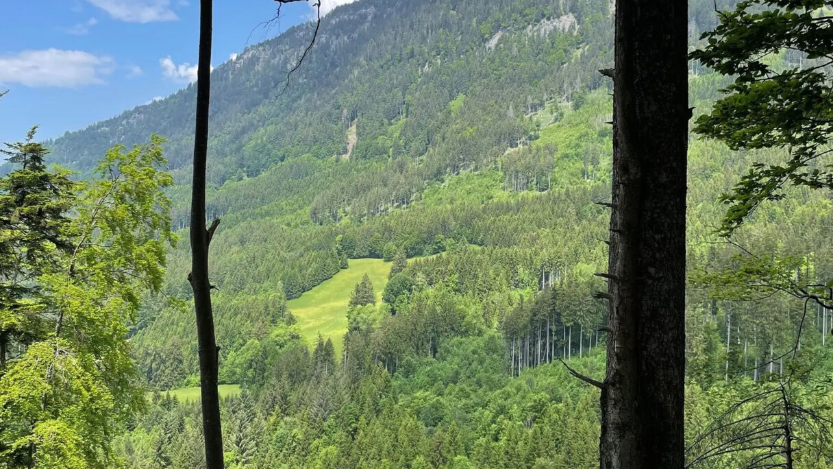 Bludenz_1.jpg