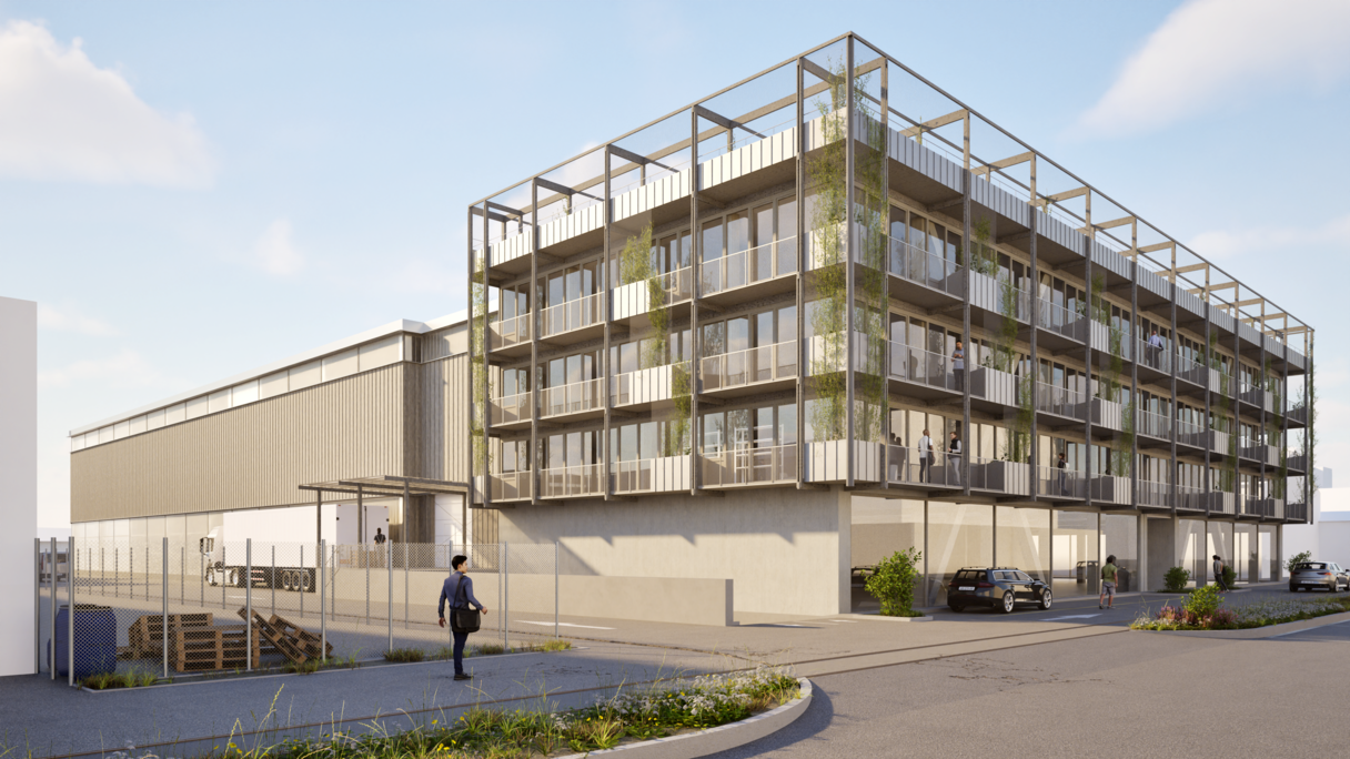250519_Regensdorf_Gebäude_Aussen_Visualisierung_Holz_Pflanzen_.png