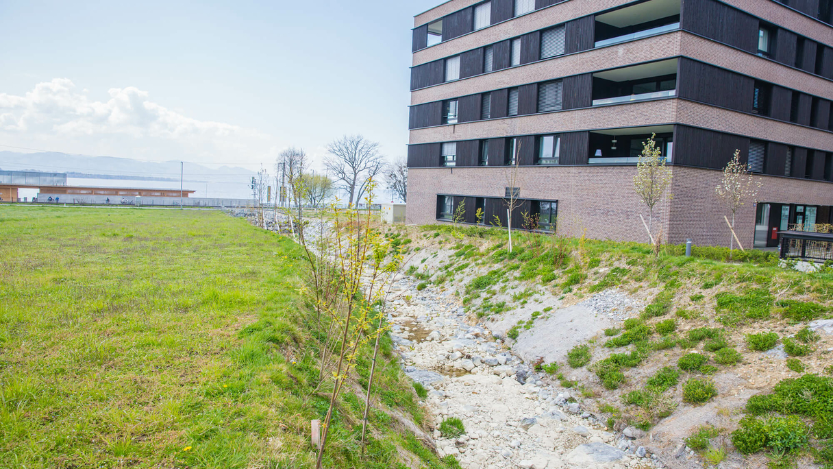 Hochwasserschutzprojekt-Lochau-2.jpg