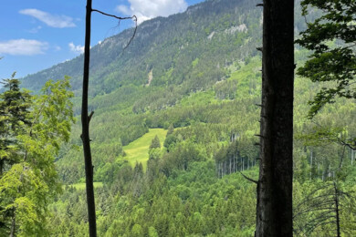Bludenz_1